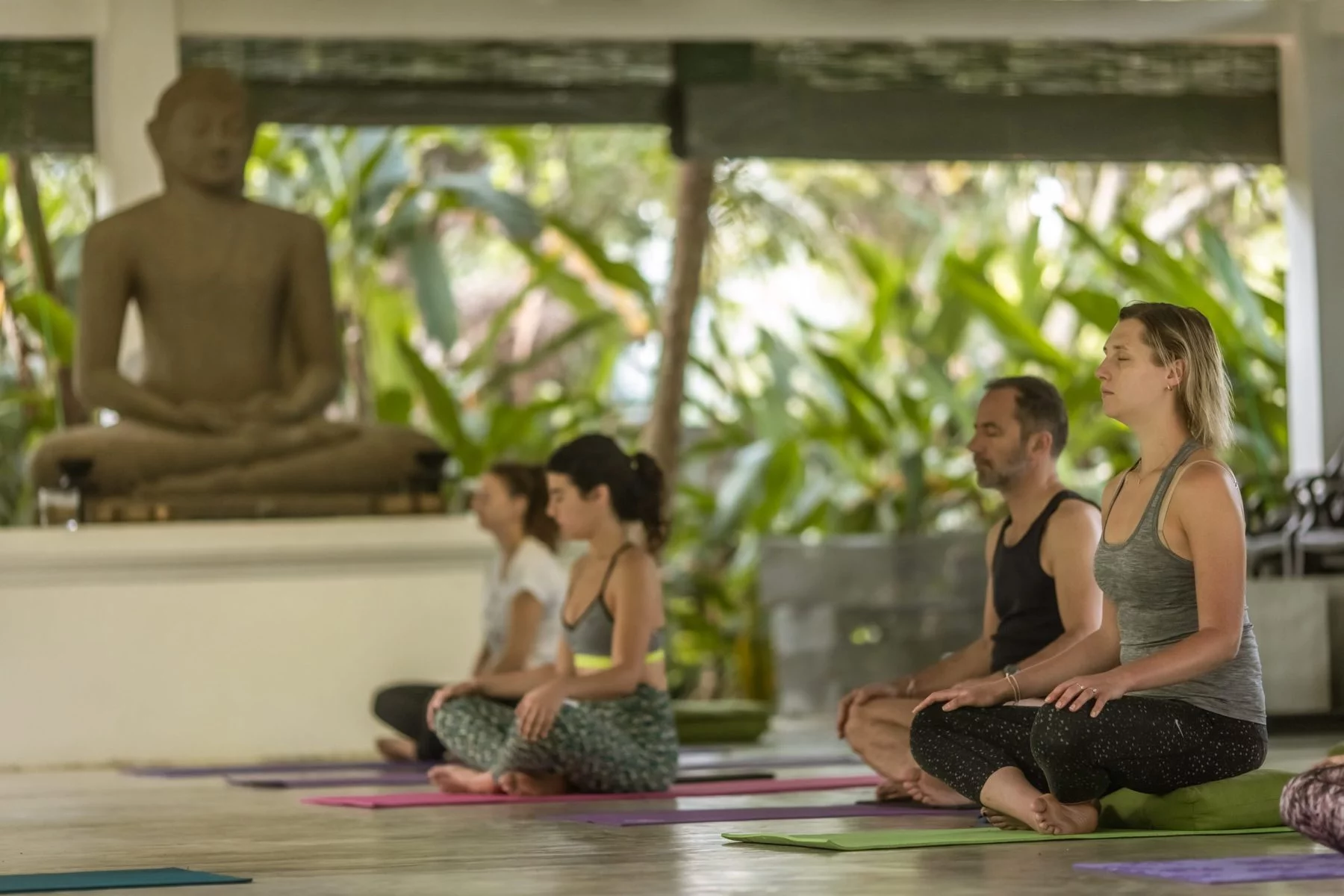 Ayurveda Detox Retreat — General