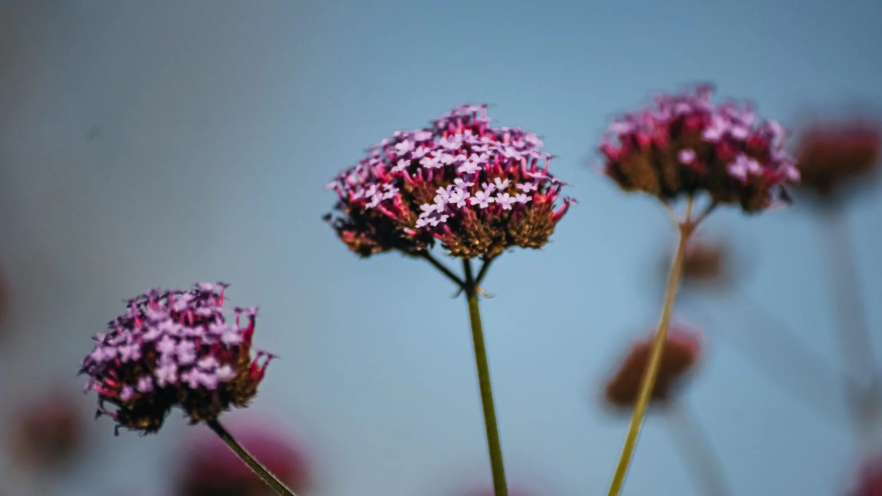 Ayurveda Detox Retreat — General