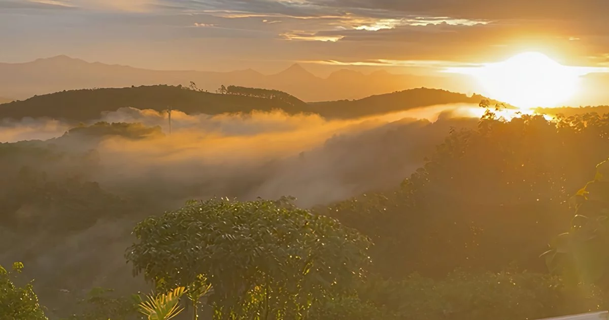 7 Day Yoga & Ayurveda Retreat