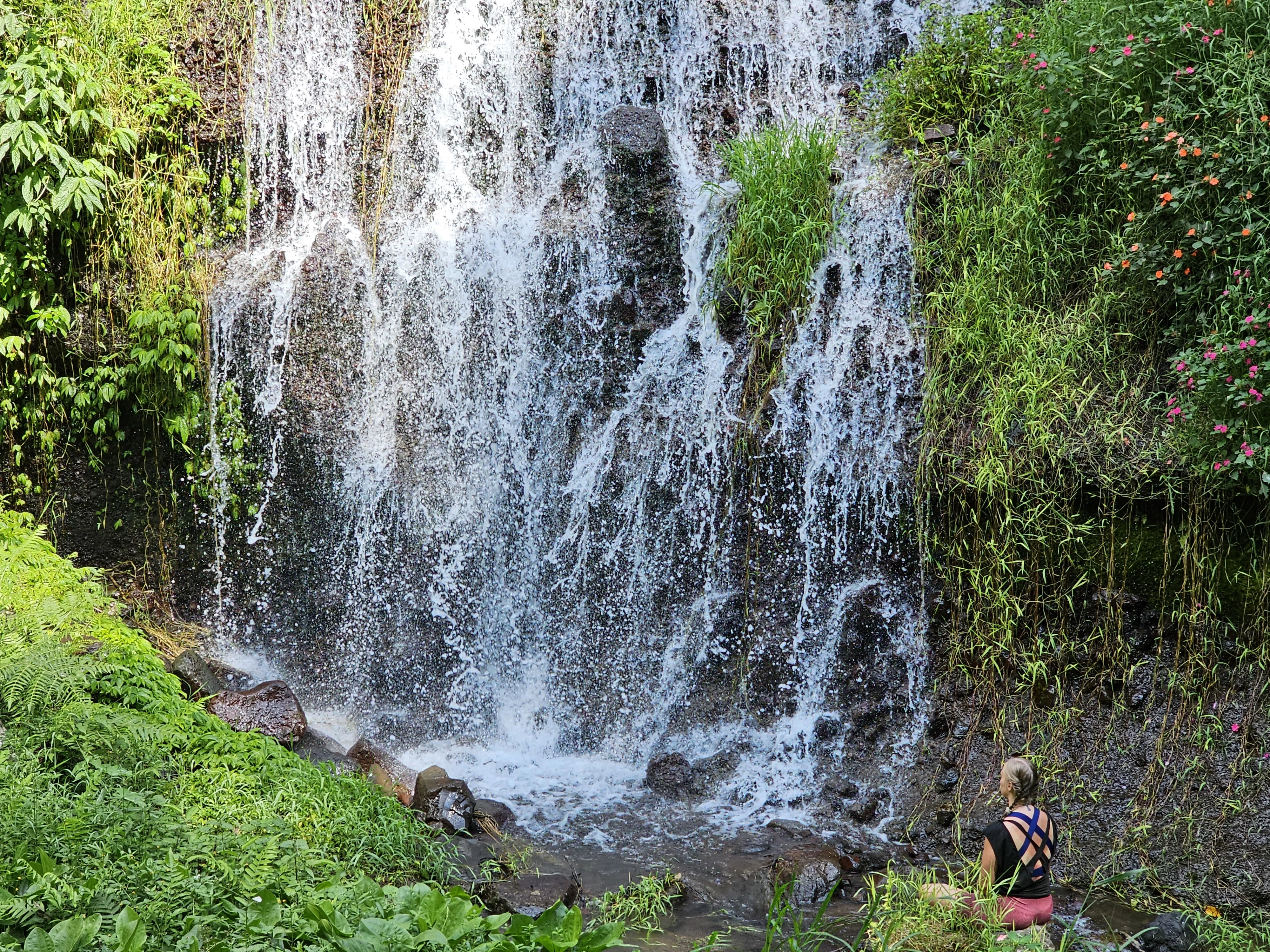 3 Day Purification Retreat — General