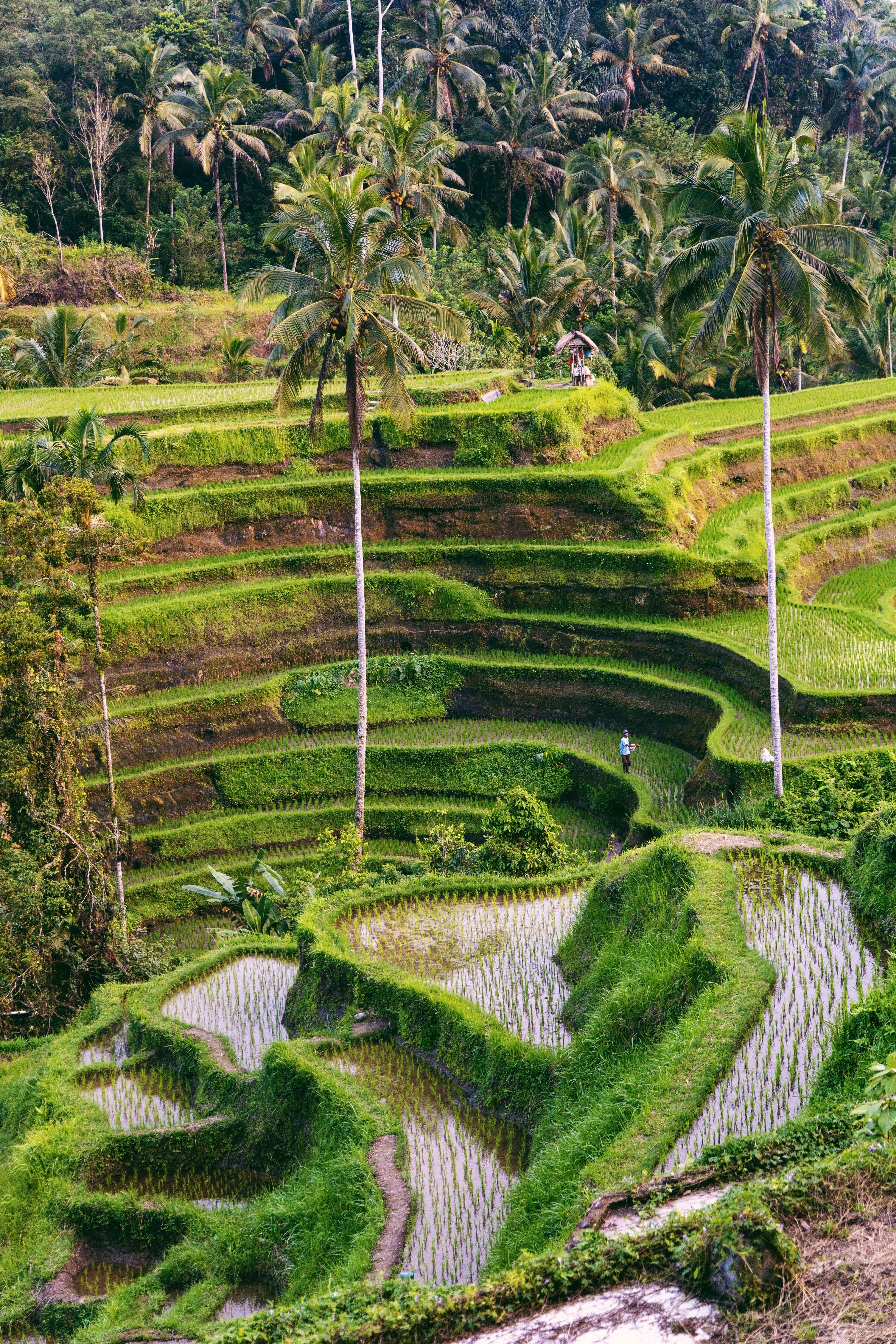 Indonesia