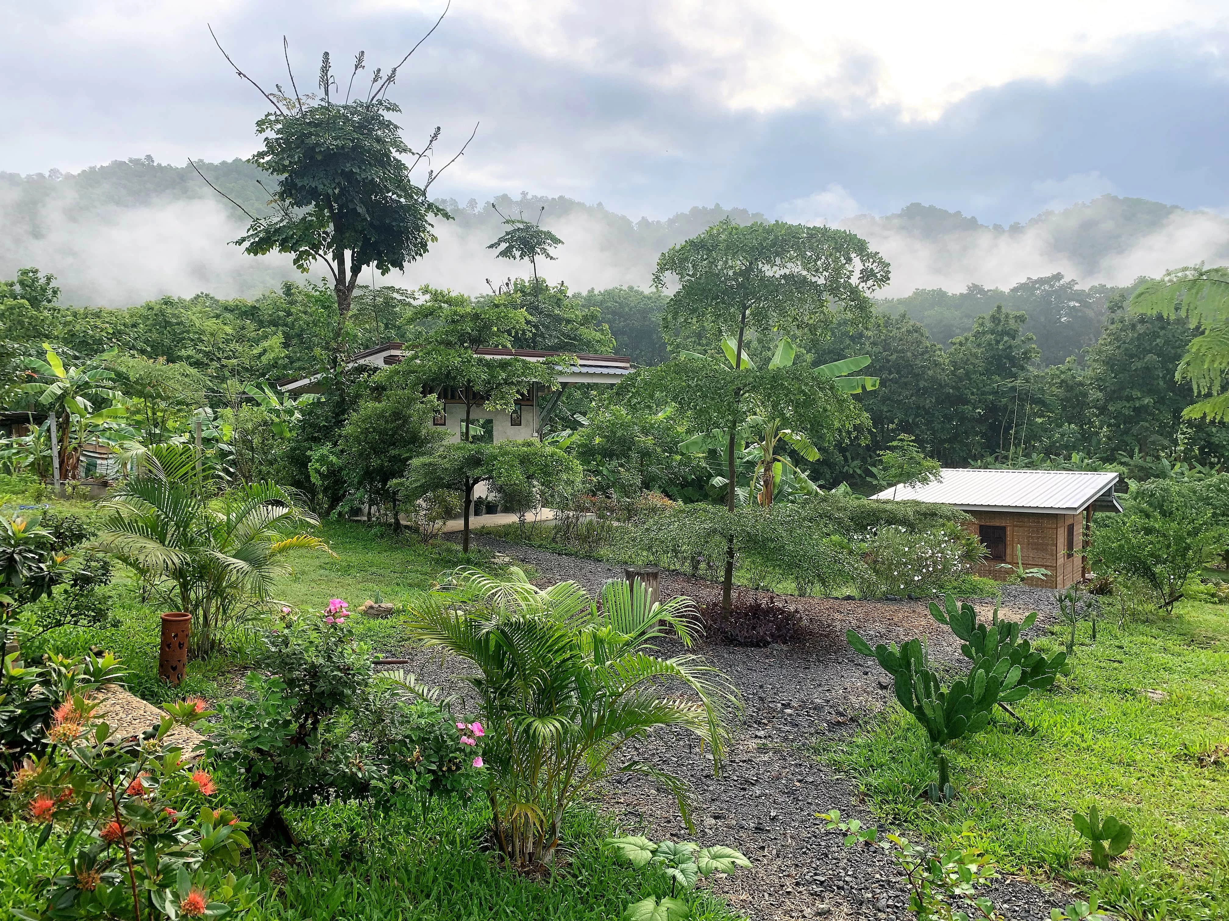 6–7 Night Immersion Yoga & Meditation Experience — General