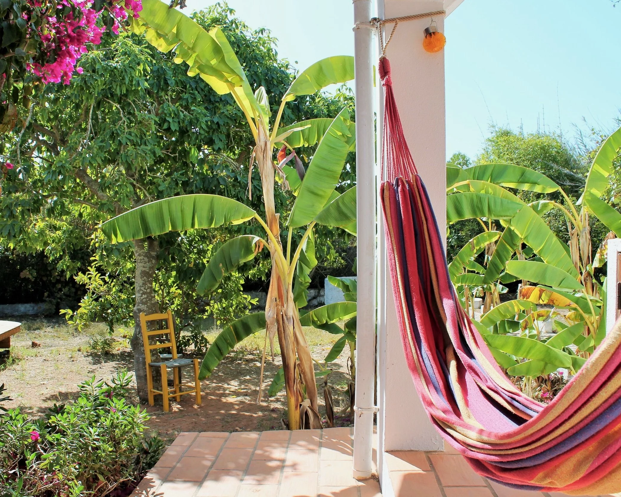 7 Day All Levels Yoga & Wellbeing Retreat in the Algarve — General
